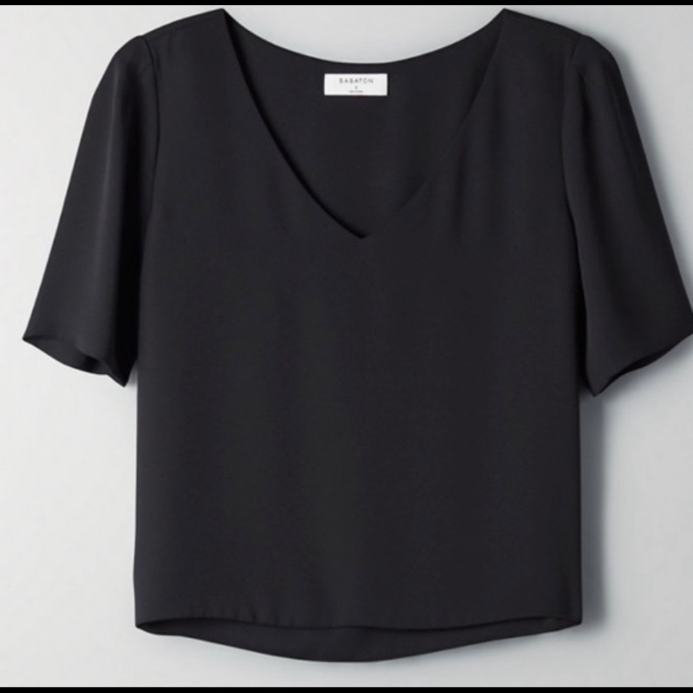 Aritzia Babaton Randy Blouse